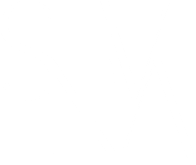 logo snva white